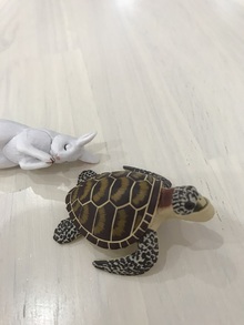回転ッ？いやいやそんな奴に私（歩幅）は負けません！