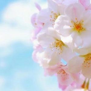 整体師のちょっと気になる話～自律神経～（35）『笑顔』