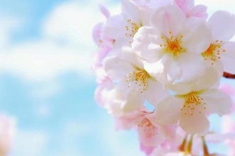 整体師のちょっと気になる話～自律神経～（35）『笑顔』